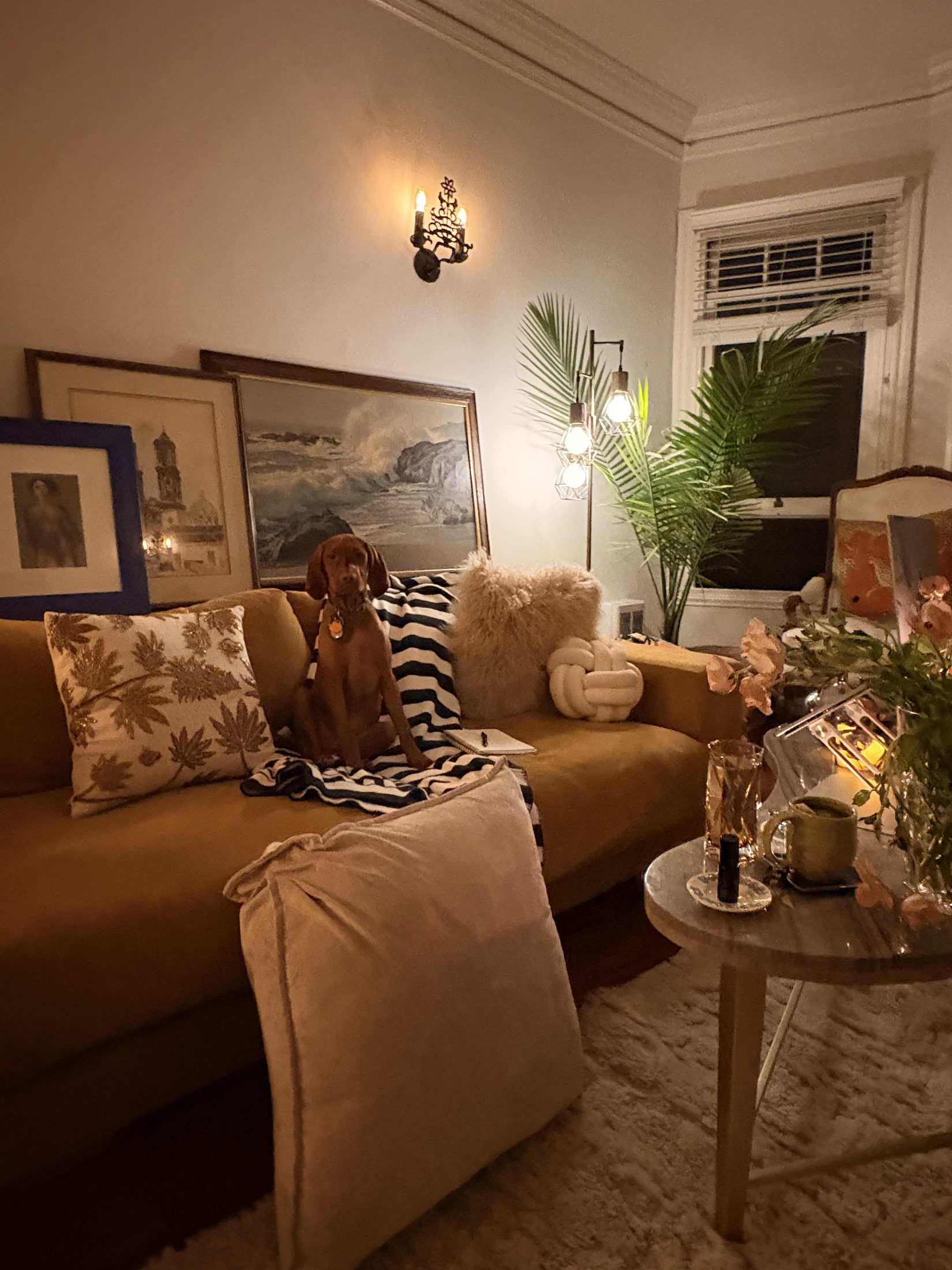 A cosy living room at night — candlelight, a laptop and tea on the side table, the dog curled up on the sofa
